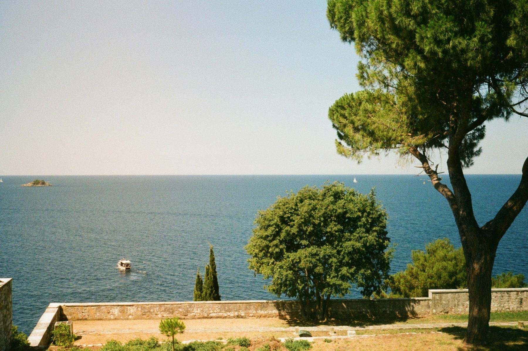 Maritime pines above a sunlit stretch of sea, seen from a stone terrace