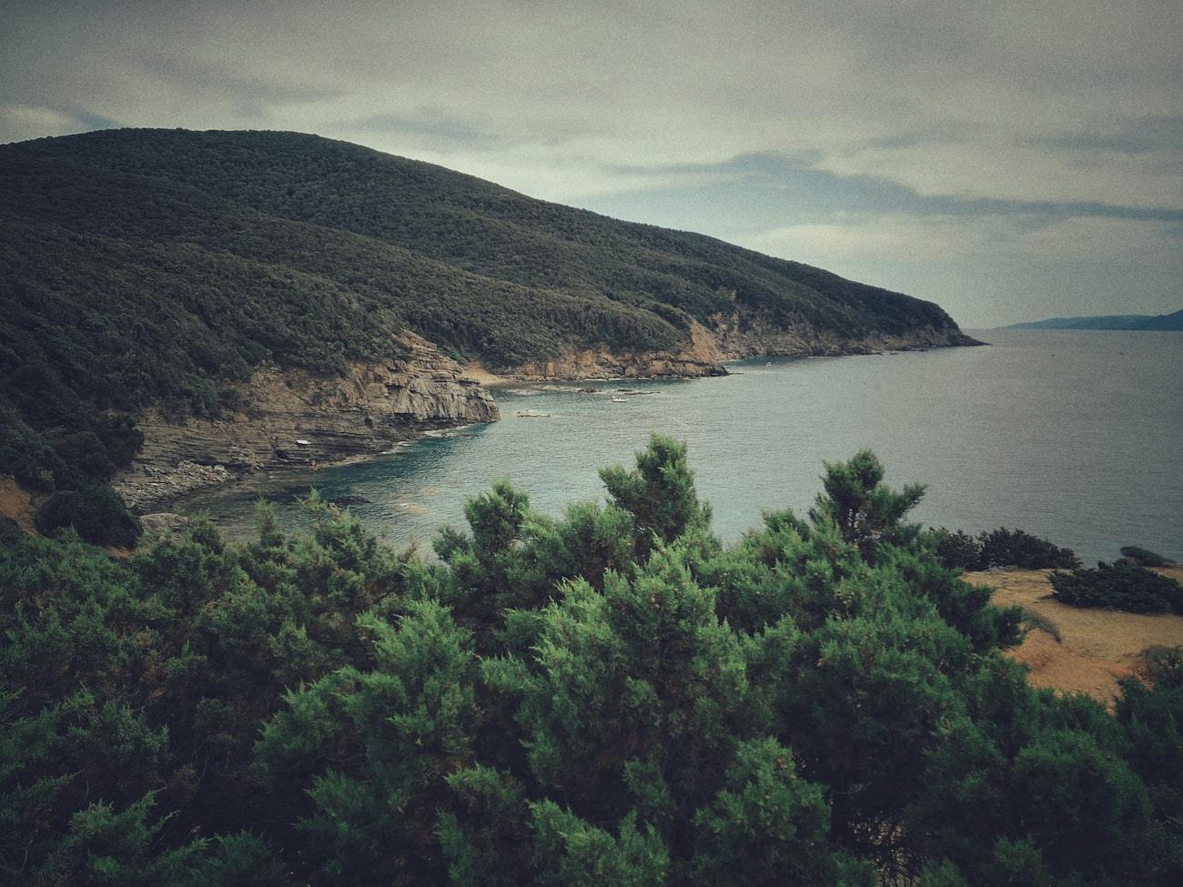 A pine-covered headland running down to a calm sea