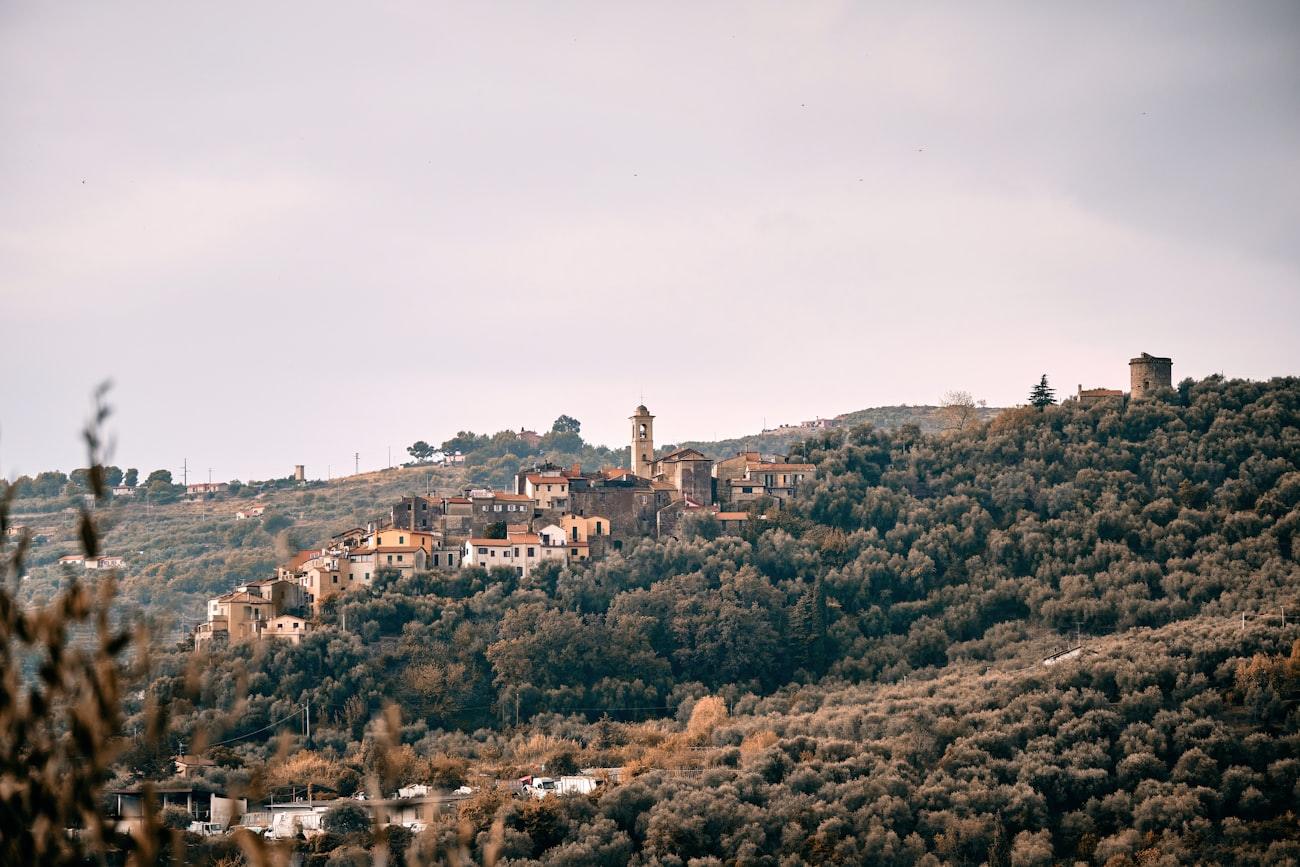 A hill village seen across wooded slopes