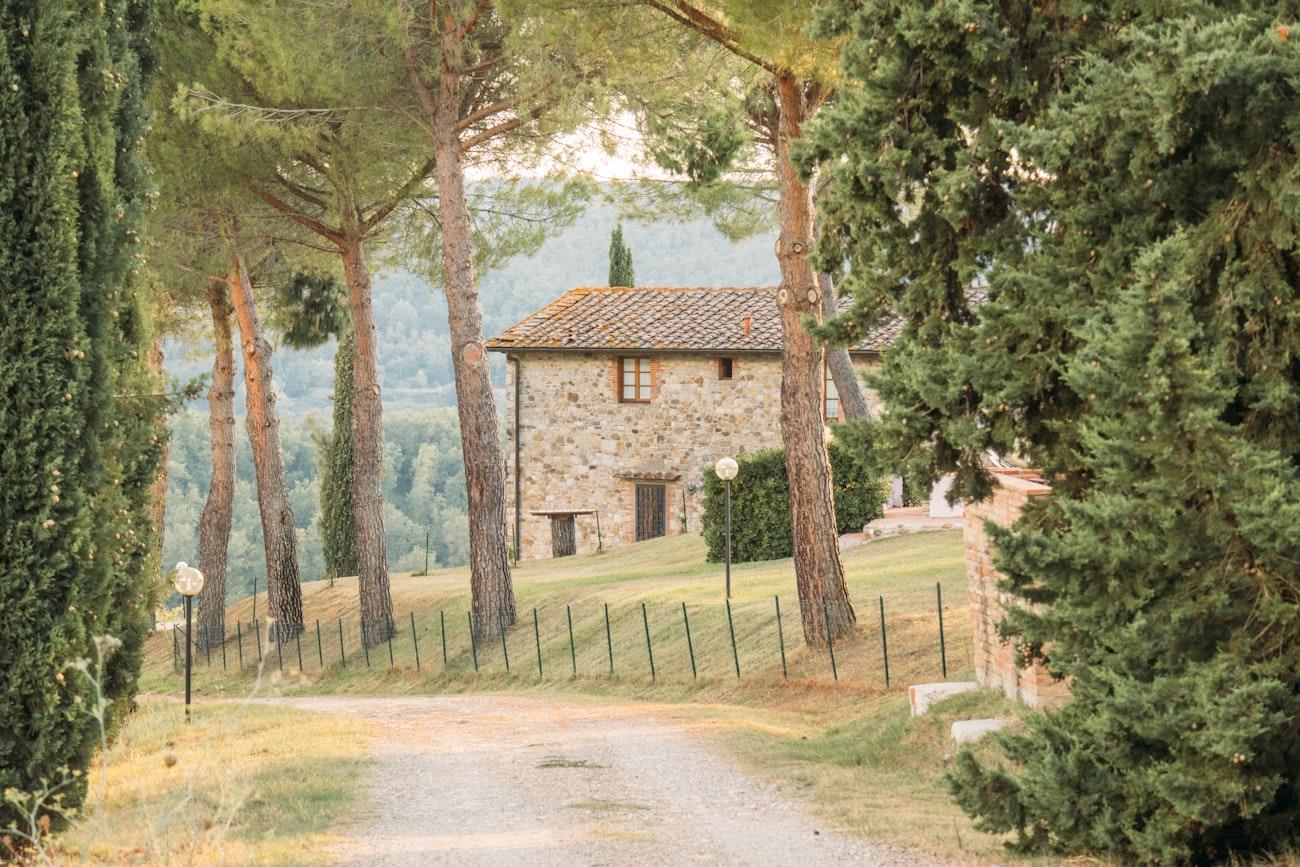 A stone farmhouse at the end of a dirt track, cypresses on either side